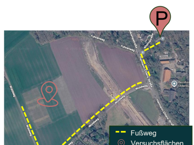 Grafik Parkplatz und Veranstaltungsfläche - © Christin Meyer Grafik Parkplatz und Veranstaltungsfläche