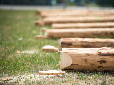 Finale des Berufswettbewerbs der deutschen Landjugend am 21.06.2023 im Landwirtschaftlichen Bildungszentrum in Echem. - © Wolfgang Ehrecke Finale des Berufswettbewerbs der deutschen Landjugend am 21.06.2023 im Landwirtschaftlichen Bildungszentrum in Echem.