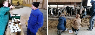 Zwischenpr&uuml;fung Landwirt/in - Tier