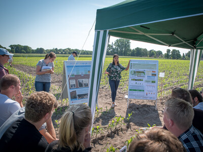 Auf dem Feldtag Wasserschutz in Wehnen wird den Zuh&ouml;reren u.a. eine Sickerwasseranlage erl&auml;utert.