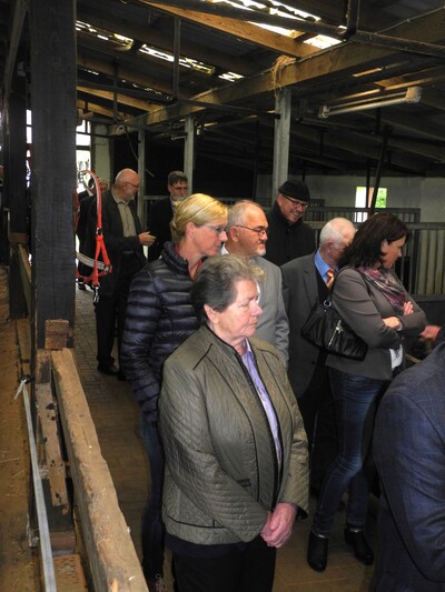 G&auml;ste beim Stallrundgang