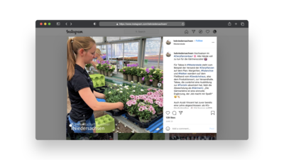 Nachwuchswerbung auf Instagram - © Celina Judith Teuner Nachwuchswerbung auf Instagram