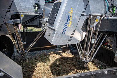 Autonomer Feldroboter Maverick von OddBot mit Greifsystemen zur Unkrautbeseitigung beim 5. Feldtag Gem&uuml;sebau am 13.08.2026 auf den Fl&auml;chen von Hof Krull in Burgdorf/Otze.