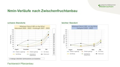 Mittelwert der Nmin-Werte nach verschiedenen Zwischenfrüchten an zwei schweren Standorten (Adenstedt und Koldingen) und einem leichten Standort (Halligdorf) im Vergleich zu ungedüngtem Ölrettich - © Annette Hoffmann Mittelwert der Nmin-Werte nach verschiedenen Zwischenfrüchten an zwei schweren Standorten (Adenstedt und Koldingen) und einem leichten Standort (Halligdorf) im Vergleich zu ungedüngtem Ölrettich