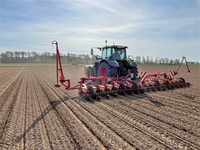 Zahlreiche Ackerbaubetriebe in Niedersachsen haben in den zurückliegenden Tagen erfolgreich Zuckerrüben ausgedrillt. Die vielerorts nassen Böden hatten in den zurückliegenden Wochen für Verzögerungen bei der Frühjahrsbestellung gesorgt.