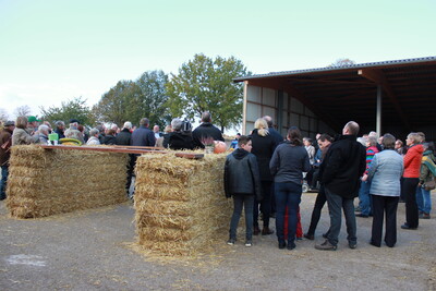 Staatsehrenpreis Hanne-Sustrath GbR 2018 - © LWK Niedersachsen Staatsehrenpreis Hanne-Sustrath GbR 2018