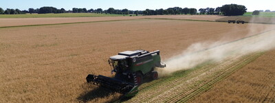 Ernte &Ouml;ko-Wintergerste