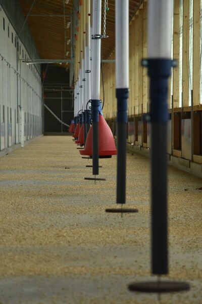 PickPuck-Anlage im Wintergarten