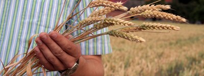 Ausbildung Landwirt/in