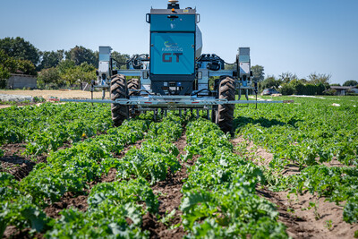 Vorstellung des autonomen Hackroboters Farming GT in einem Gr&uuml;nkohl-Bestand beim 5. Feldtag Gem&uuml;sebau am 13.08.2026 auf den Fl&auml;chen von Hof Krull in Burgdorf/Otze.