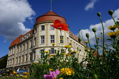 Wildblumen vor dem Hauptgebäude der LWK