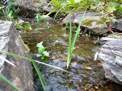 Wasserlauf - © Gesa Große-Endebrock Wasserlauf