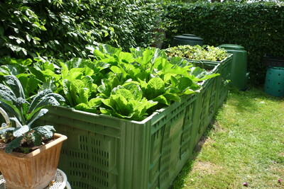Hochbeet - © Anke Kreis Gemüse im Hochbeet