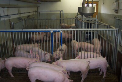 Prüfung Gruppenbucht - © W. Vogt - © Wolfgang Vogt Prüfung Gruppenbucht