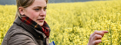 - © Andreas Teichler Eine Person im braunen Mantel zeigt auf gelbe Blüten in einem großen Feld. Im Hintergrund sind Bäume sichtbar.