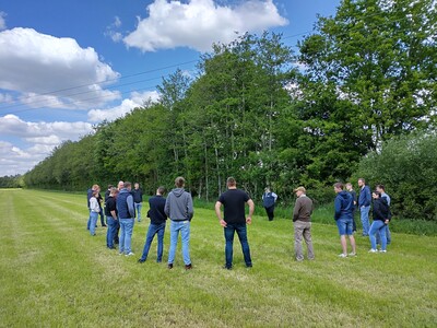 Heckenseminar 40 Jahre alte Hecke