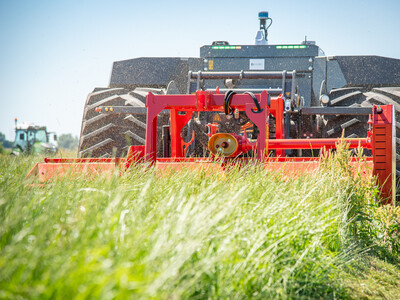 Autonomer Feldroboter AgBot mulcht beim Praxistag Alternative Antriebsenergien f&uuml;r Landmaschinen am 01.07.2025 im LBZ Echem.