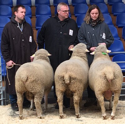 Züchtersammlung von Joachim Rehse