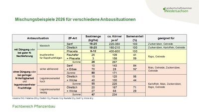 Mischungsbeispiele für den Zwischenfruchtanbau 2026 - © Annette Hoffmann Mischungsbeispiele für den Zwischenfruchtanbau 2026