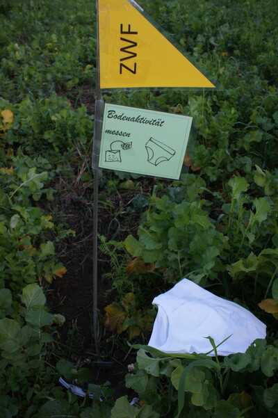 Ausschilderung - © LWK Niedersachsen Ausschilderung