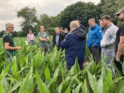 Feldbesichtigung Mais
