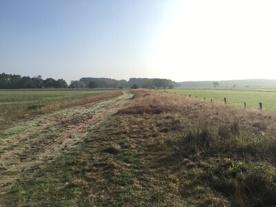Wegeseitenr&auml;nder