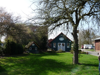 Hofbegrünung - © Sabine Dralle Hofbegrünung