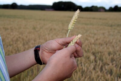 Ausbildung Landwirt/in