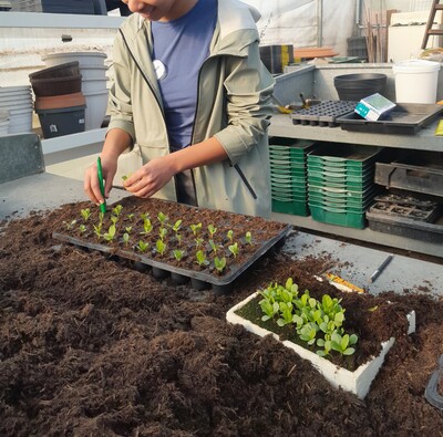 Zukunftstag 2025 im Gartenbau - © Christine Hahne Zukunftstag 2025 im Gartenbau