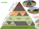Maßnahmenpyramide für den integrierten Pflanzenschutz in Kartoffeln - © Steffen Konnemann / Georg-August-Universität Göttingen bearbeitet von Iris Schaper / LWK Niedersachsen Maßnahmenpyramide für den integrierten Pflanzenschutz in Kartoffeln