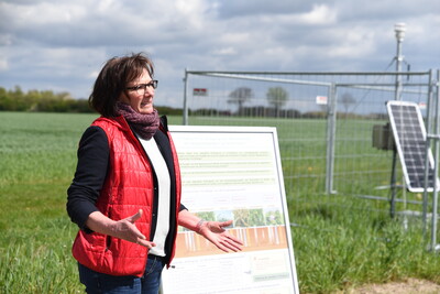 Dr. Dagmar Matuschek, bei der Landwirtschaftskammer Niedersachsen stellvertretende Leiterin des Fachbereichs Versuchswesen Pflanze, erläuterte den Anwesenden Aufbau und Umsetzung des Feldversuchs.