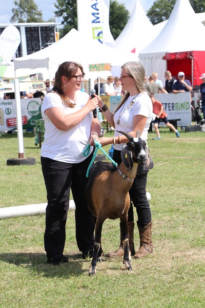 Fachberaterin Elke Steinbach im Gespr&auml;ch mit den Z&uuml;chtern des Ziegenzuchtverbandes in Tarmstedt