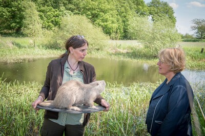 Ergebnisse und Herausforderungen der Nutriajagd: Fachleute der LWK, Vertreter*innen der J&auml;gerschaft sowie des Unterhaltungsverbandes am 11.05.2022 beim Treffen mit Agrarministerin Barbara Otte-Kinast an der Vechte bei Quendorf (Grafschaft Bentheim).