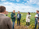 LeguNet-Soja-Feldtag der Landwirtschaftskammer Niedersachsen in Blender (Kreis Verden). - © Wolfgang Ehrecke LeguNet-Soja-Feldtag der Landwirtschaftskammer Niedersachsen in Blender (Kreis Verden).