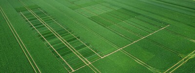 Versuchsfeld Gro&szlig; Munzel 2023