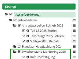 Schlaginfoportal_Zwischenstand_Monitoring - © Sonja Kornblum Schlaginfoportal_Zwischenstand_Monitoring