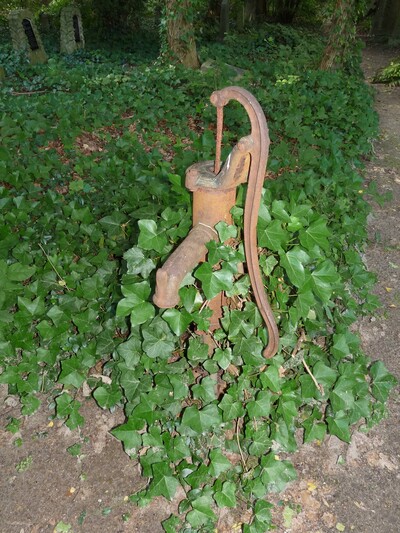 Der alte Friedhof in Thomasburg - © Sabine Dralle Der alte Friedhof in Thomasburg