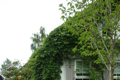Garten - © Anke Kreis /media/media/F597F936-E259-AEE6-08035AEC1A89ADB6.JPG
