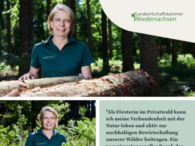 Dorothea Kreinberg - Bezirksförsterin