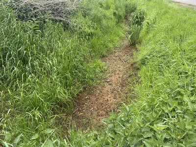 Graben trockengefallen - © LWK Niedersachsen Graben trockengefallen