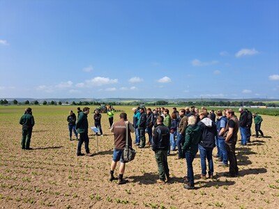 Feldtag 2023, Dreiländereck GmbH & Co. KG