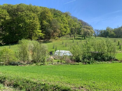 Permakulturgarten in Freden