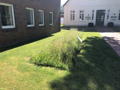 Gemeinschaftlich angelegter Wiesenbl&uuml;hstreifen vor dem Gr&uuml;nen Zentrum in Ovelg&ouml;nne