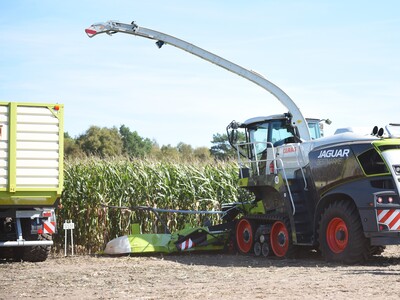 Bei der Maschinenvorf&uuml;hrung &bdquo;Von der Aussaat bis zur Ernte &ndash; Techniken rund um den Maisanbau&ldquo; in Gyhum waren am 7. September 2023 insgesamt 60 Ger&auml;te und Maschinen im praktischen Einsatz zu erleben.
