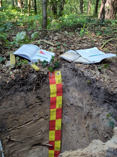 Bodenprofil - Bestimmung vom Bodentyp und weiterer wichtiger Bodenparameter