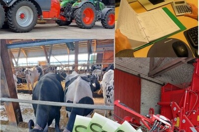 Der Jahresabschluss - © Rolf Fricke Traktor vor einer Scheune, Kühe im Stall, Computerarbeitsplatz mit Dokumenten und Taschenrechner, mehrere 100-Euro-Scheine.