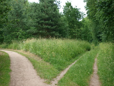 2 Wege - © Anne Dirking /media/media/E9EB613F-D8D3-855D-04F27801147FFBEB.JPG