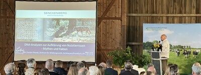 Der Echemer Zauntag bietet vielf&auml;ltige M&ouml;glichkeiten zur Vernetzung und zum fachlichen Austausch.