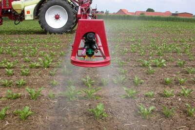 Ausbringung von Pflanzenschutzmittel auf einem Zuckerr&uuml;benfeld