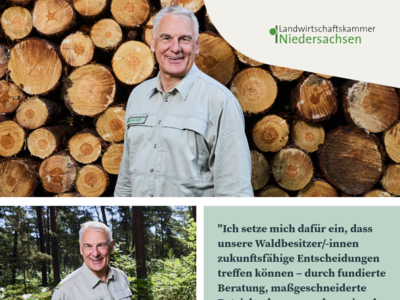 Martin Hillmann - Leiter Fachbereich Forsteinrichtung, Bewertung, Waldinventur Raumordnung, Naturschutz